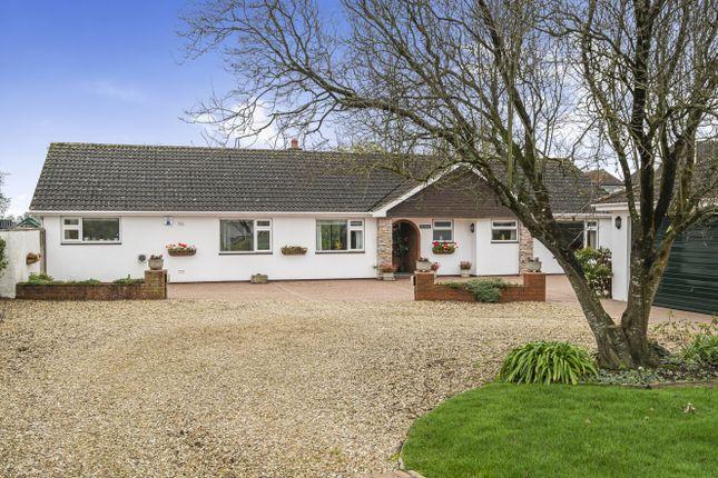 Bungalow for sale in Talaton, Exeter EX5