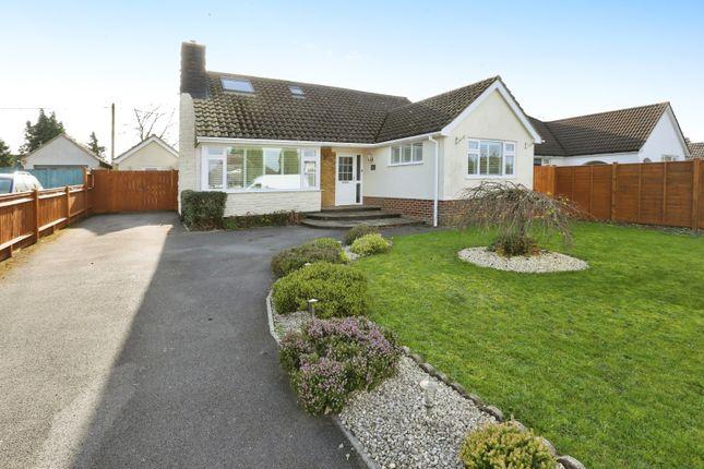 Detached bungalow for sale in Stavedown Road, Winchester SO21