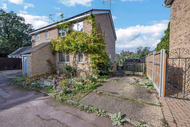 Semi-detached house for sale in Raedwald Drive, Bury St. Edmunds IP32