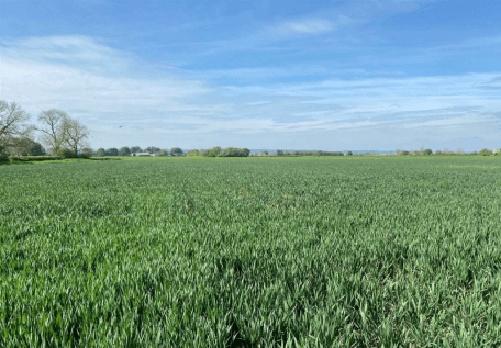 Land for sale in Arable and Grassland, Ryton Rigg Road, Ryton, YO17