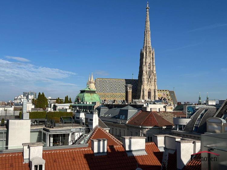 Moderne Dachgeschosswohnung (Maisonette) mit großer Dachterrasse mit einzigartigem Ausblick auf den Stephansplatz