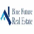Blue Future Real Estate