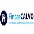 Fincas Calvo