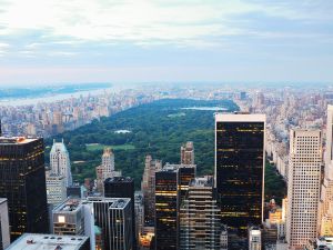 New York Property Taxes